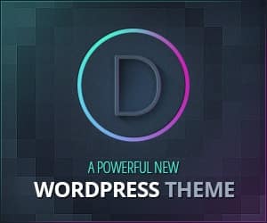 The perfect WordPress Drag and Drop Theme by ElegantThemes